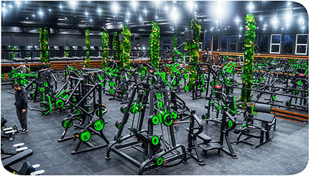 GREENTHEORY PALESTRA LIVORNO (LI)